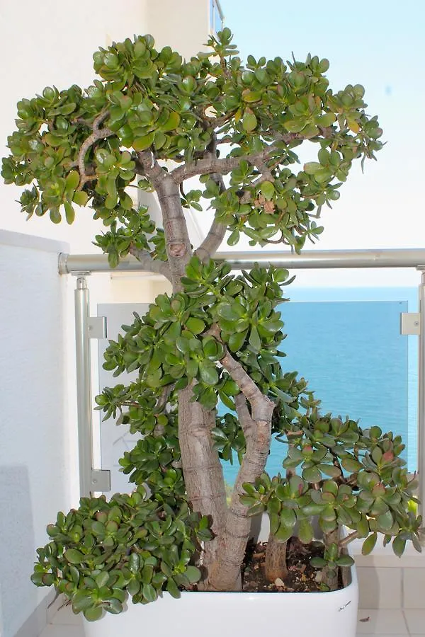 Limani Deluxe Apartments Sarandë